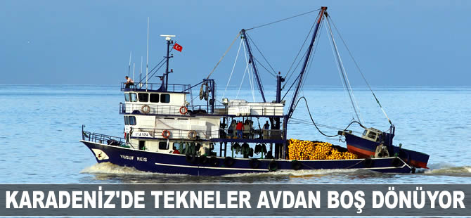 Karadeniz'de tekneler avdan boş dönüyor