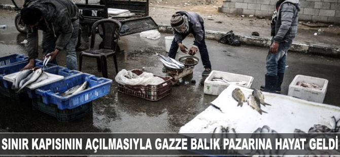 Sınır kapısının açılmasıyla Gazze balık pazarına hayat geldi