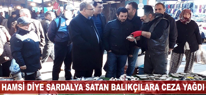 Hamsi diye sardalya satan balıkçılara ceza yağdı
