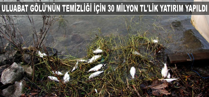 Uluabat Gölü'nün temizliği için 30 milyon TL'lik yatırım yapıldı