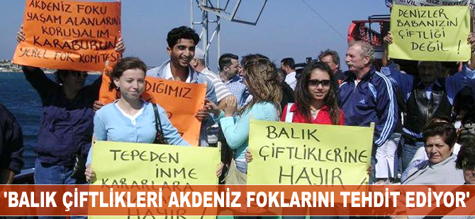 'Balık çiftlikleri Akdeniz foklarını tehdit ediyor'