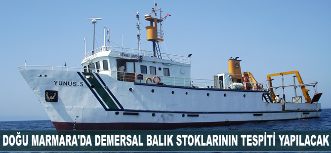 Doğu Marmara'da demersal balık stoklarının tespiti yapılacak