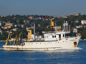 Doğu Marmara'da demersal balık stoklarının tespiti yapılacak