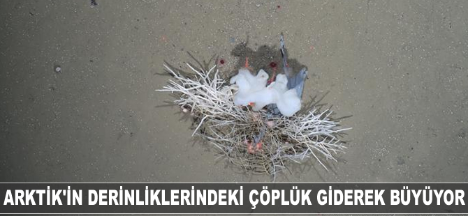 Arktik Okyanusu'nun derinliklerindeki çöplük giderek büyüyor