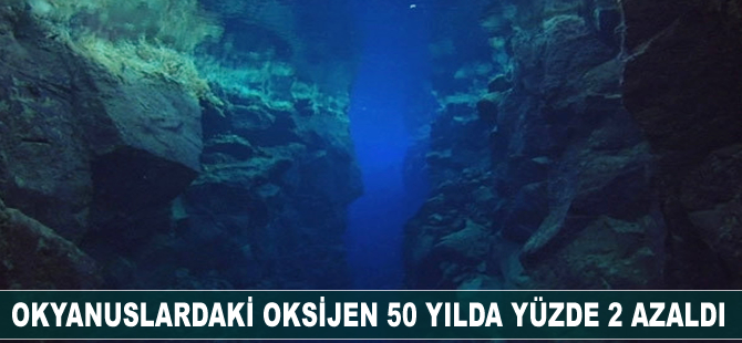 Okyanuslardaki oksijen 50 yılda yüzde 2 azaldı