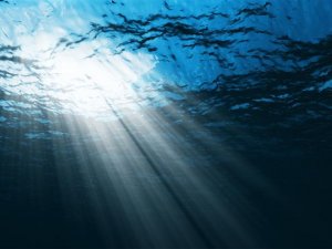 Okyanuslardaki oksijen 50 yılda yüzde 2 azaldı