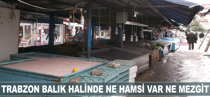 Trabzon balık halinde ne hamsi var ne mezgit