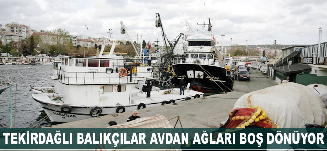 Tekirdağlı balıkçılar avdan ağları boş dönüyor