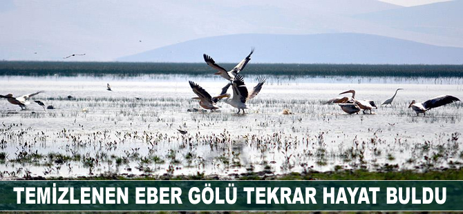 Temizlenen Eber Gölü hayat buldu
