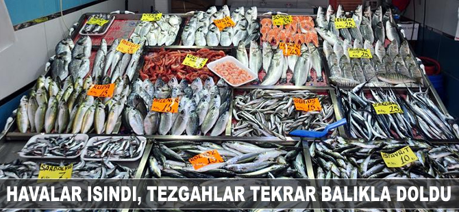 Havalar ısındı, tezgahlar tekrar balıkla doldu