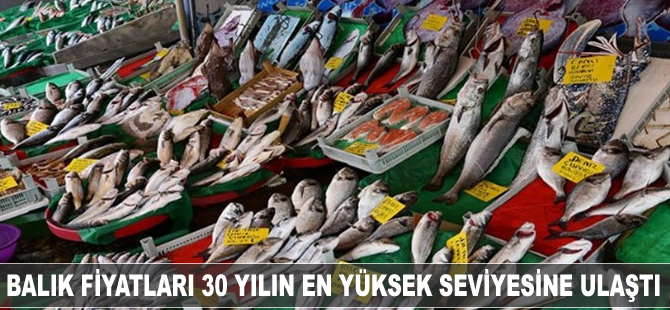 Trabzon'da balık fiyatları son 30 yılın en yüksek rakamını gördü