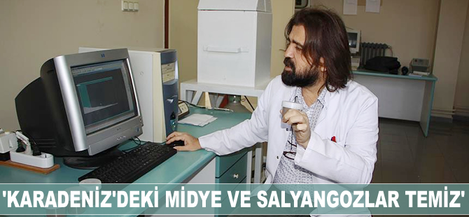 'Karadeniz'deki midye ve salyangozlar temiz'