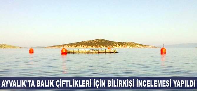Ayvalık'ta balık çiftlikleri için bilirkişi incelemesi yapıldı