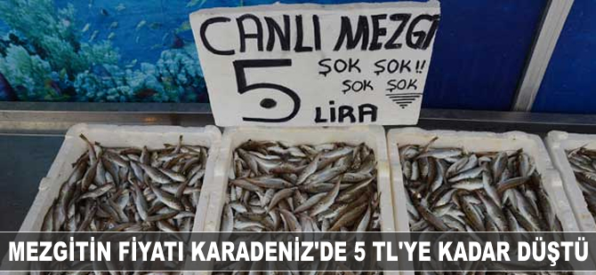 Mezgitin fiyatı Karadeniz'de 5 TL'ye kadar düştü