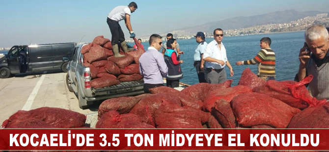 Kocaeli'de 3,5 ton midyeye el konuldu