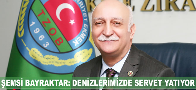 Şemsi Bayraktar: Denizlerimizde servet yatıyor