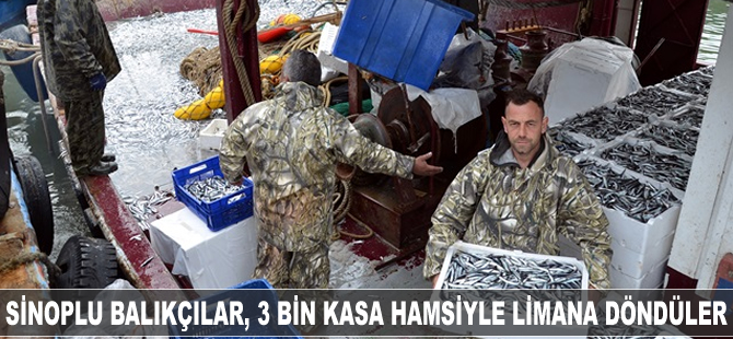Sinoplu balıkçılar, 3 bin kasa hamsi ile limana döndüler