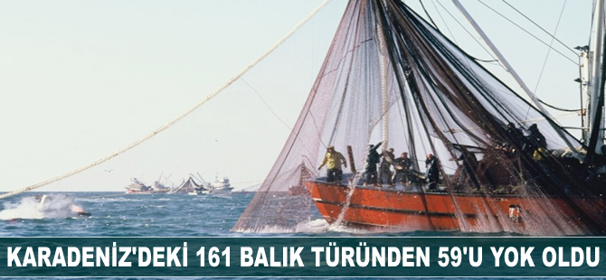 Karadeniz’deki 161 balık türünden 59’u yok oldu