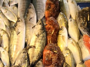 Balık tüketiminde hedef kişi başı 15 kilograma ulaşmak
