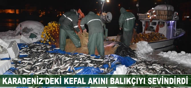 Karadeniz'deki kefal akını balıkçıları sevindirdi