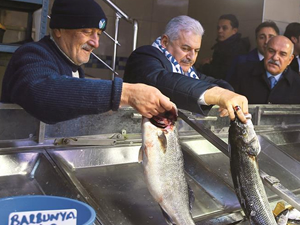 Başbakan Binali Yıldırım Sinop'ta balıkçıları ziyaret etti