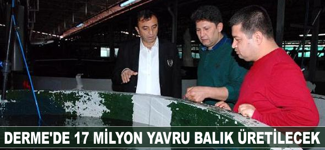 Derme'de 17 milyon yavru balık üretilecek