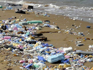 İstanbul Kilyos Plajı'na moloz döktüler