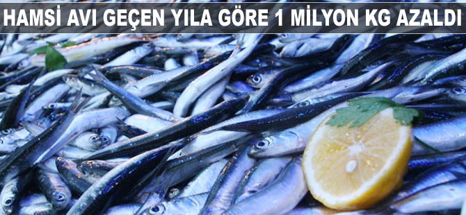 Hamsi avı geçen yıla göre 1 milyon kilogram azaldı