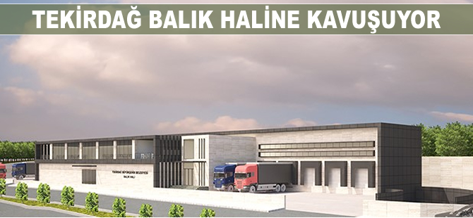 Tekirdağ, balık haline kavuşuyor