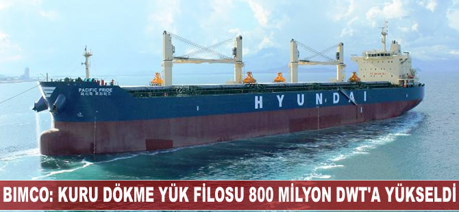 BIMCO: Kuru dökme yük filosu 800 milyon DWT'a ulaştı
