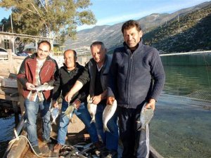 Beymelek Dalyanı'nda 13 balık türü ve yengeç yetişiyor