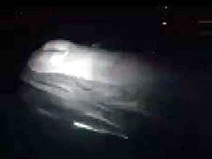 Akdeniz kıyılarında dev balina balıkçı teknesine çarptı