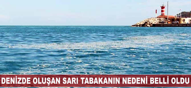 Denizde oluşan sarı tabakanın sebebi belli oldu