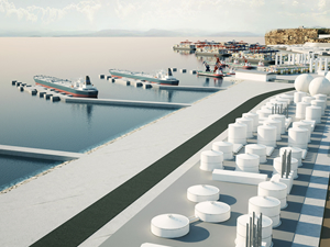 Mehmet Tüm: Rotterdam Liman Projesi iptal edilmeli