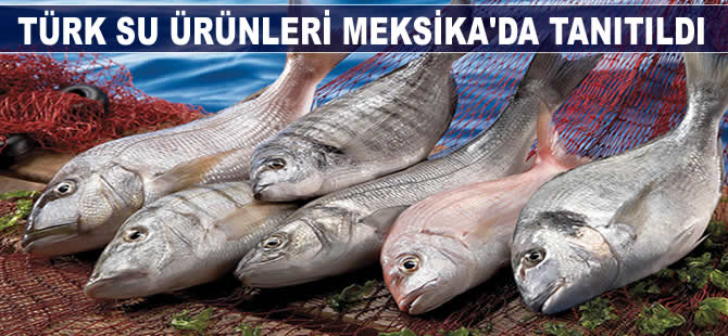 Türk su ürünleri Meksika'da tanıtıldı