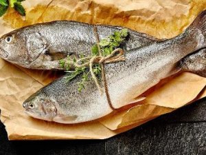 Türk su ürünleri Meksika'da tanıtıldı