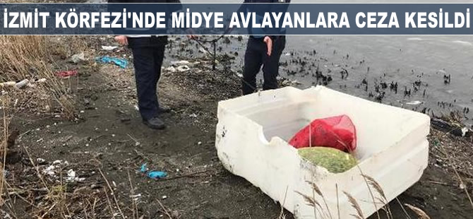 İzmit Körfezi'nde midye avlayanlara ceza kesildi