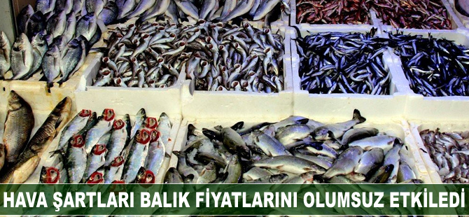 Hava şartları balık fiyatlarını olumsuz etkiledi