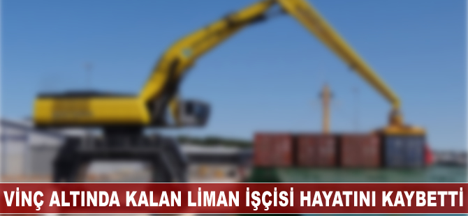 Vinç altında kalan liman işçisi hayatını kaybetti