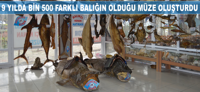 30 yıllık tutkuyla 9 yılda bin 500 farklı balığın olduğu müze oluşturdu