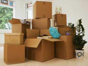 Ankara Profesyonel Taşınma Çözümleri