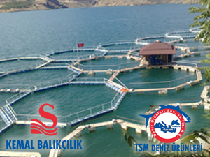 Rusya, iki Türk şirketinin denetimlerini sıkılaştırdı