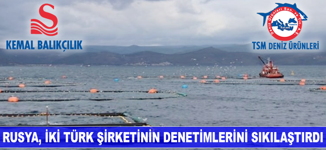 Rusya, iki Türk şirketinin denetimlerini sıkılaştırdı