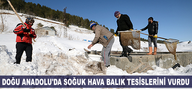 Doğu Anadolu'da soğuk hava balık tesislerini vurdu