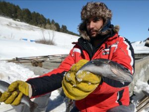 Doğu Anadolu'da soğuk hava balık tesislerini vurdu