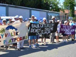 Ayvalık'taki iki balık çiftliği kaldırıldı