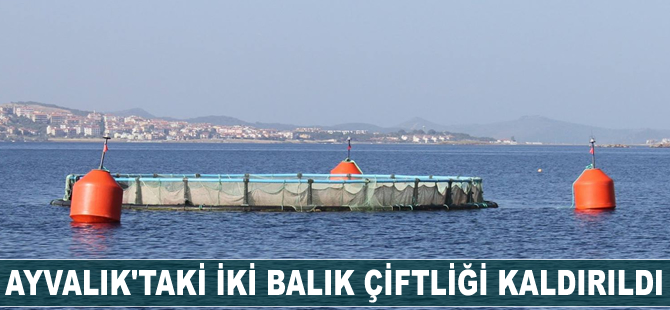 Ayvalık'taki iki balık çiftliği kaldırıldı