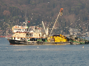 'Balık sezonu beklentilerin altında kaldı'