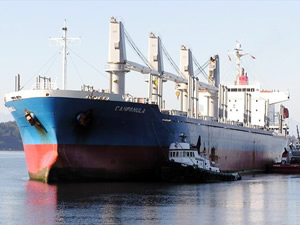 M/V CAMPANULA isimli kuruyük gemisi, 6 milyon 600 bin dolara Türk alıcıya satıldı