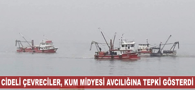 Cideli çevreciler, kum midyesi avcılığına tepki gösterdi